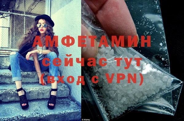 стаф Кодинск