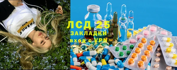 стаф Кодинск