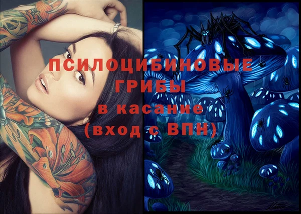 стафф Козловка