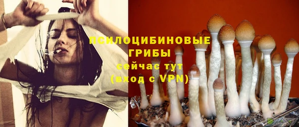 стаф Кодинск