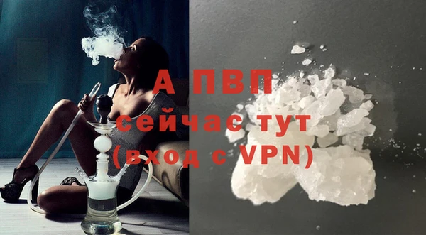стафф Козловка