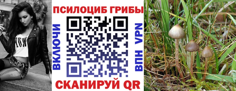 Псилоцибиновые грибы ЛСД  Купить закладки  Артёмовский 